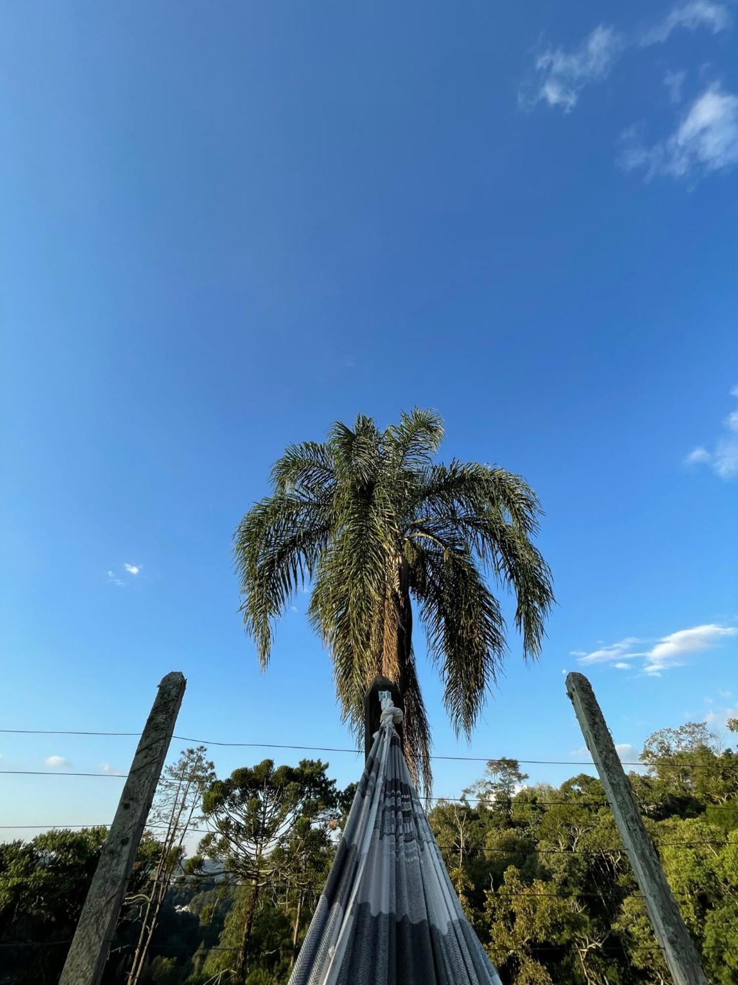 ホテル Pauapique São Roque エクステリア 写真